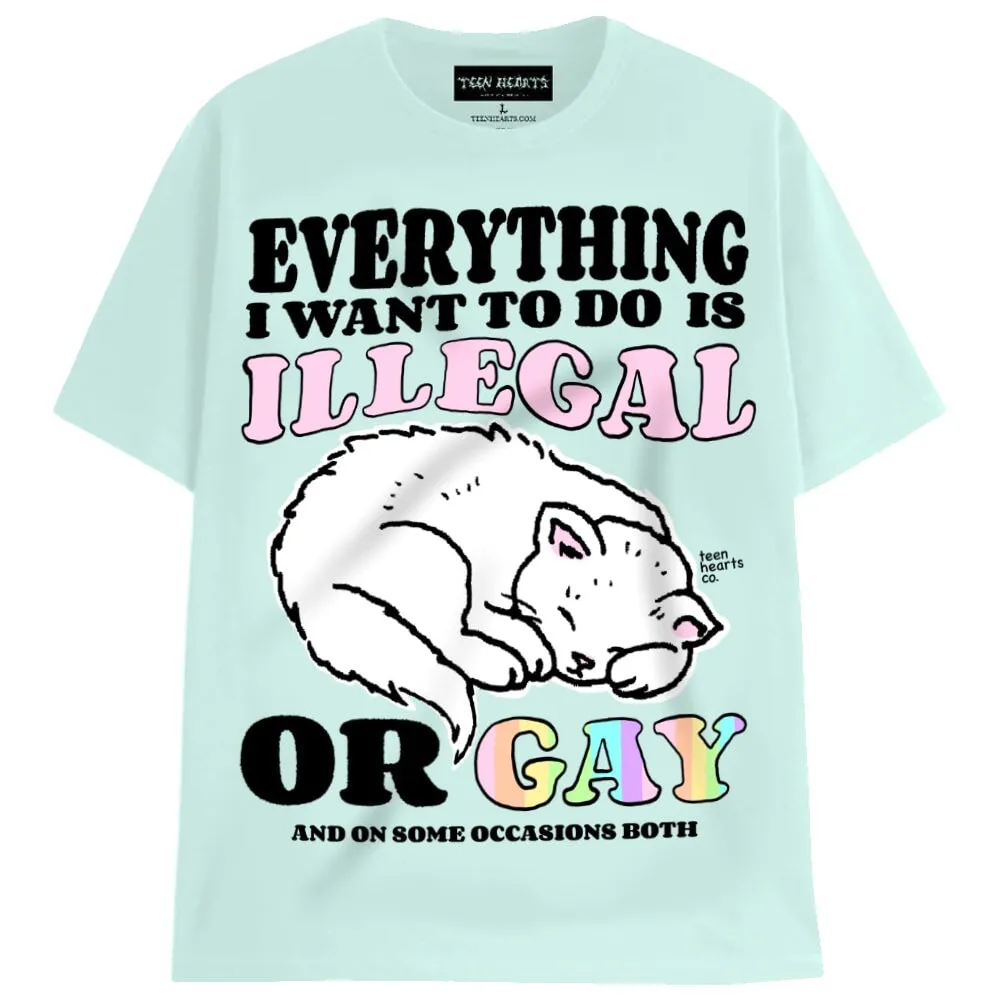 ILLEGAL OR GAY