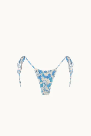 PENINSULA BRIEFS - BLUEBELL