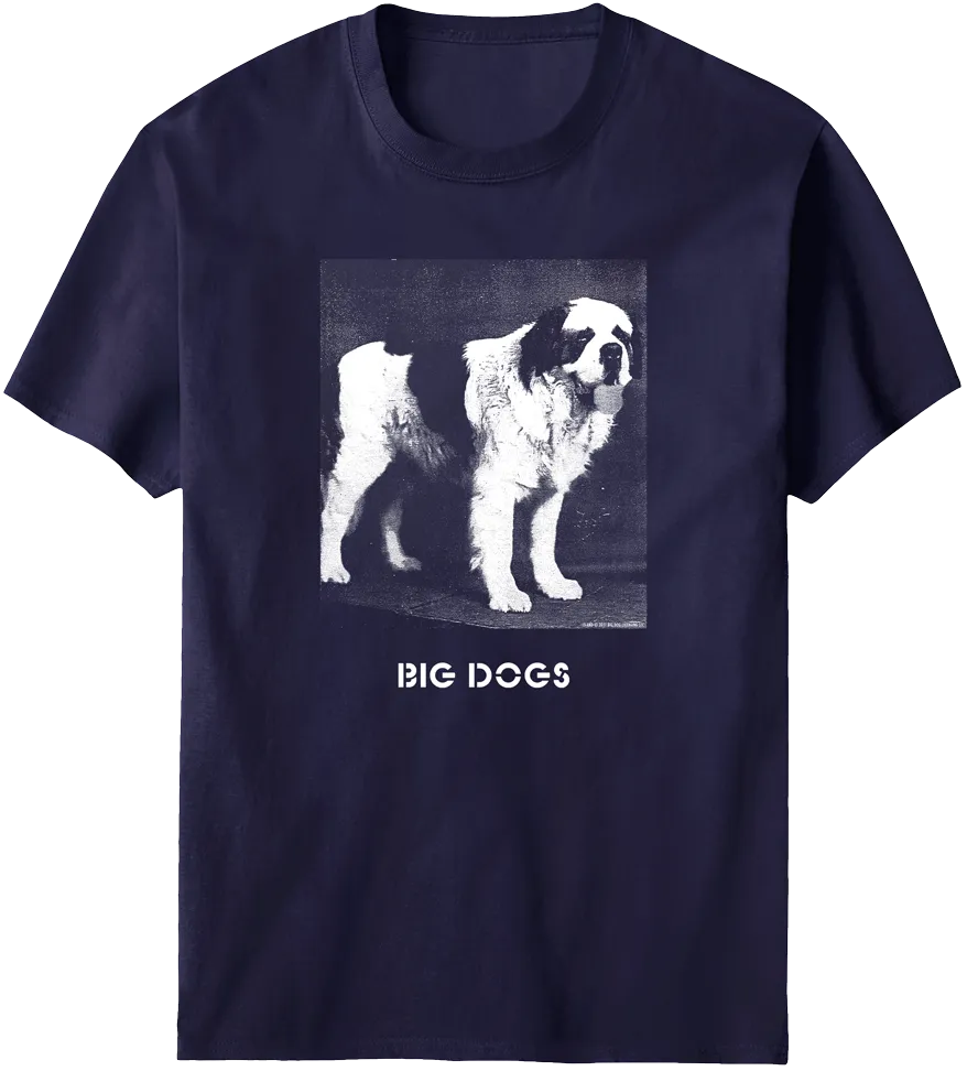 Photo Logo T-Shirt