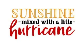 Sunshine Mixed With a Little Hurricane Unisex   White Short Sleeve T-shirt
