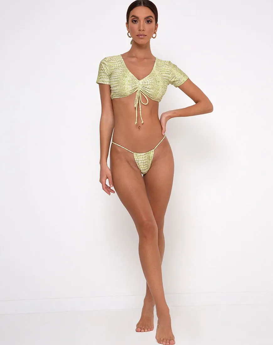 Valeri Bikini Bottoms in Croc Green